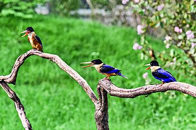 《漫威1943：九头蛇崛起》跳票到2026年初